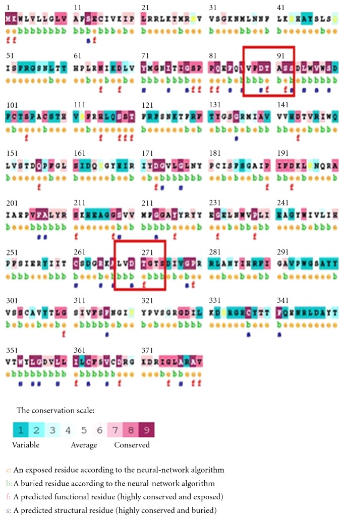 Structural Modeling and Analysis of Pregnancy-Associated Glycoprotein-1 of Buffalo (Bubalus bubalis).