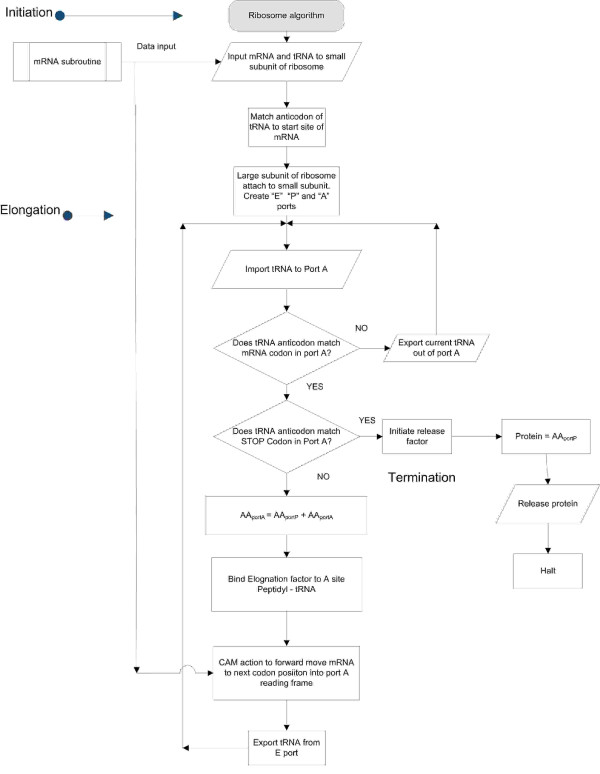 Dichotomy in the definition of prescriptive information suggests both prescribed data and prescribed algorithms: biosemiotics applications in genomic systems.