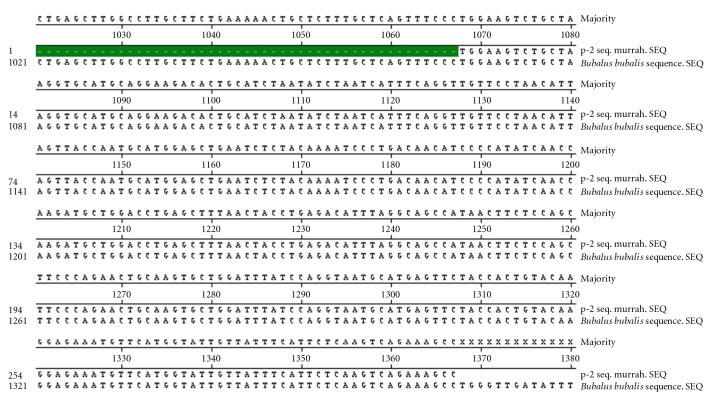 Nucleotide Sequencing and SNP Detection of Toll-Like Receptor-4 Gene in Murrah Buffalo (Bubalus bubalis).