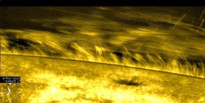 Prominence Oscillations