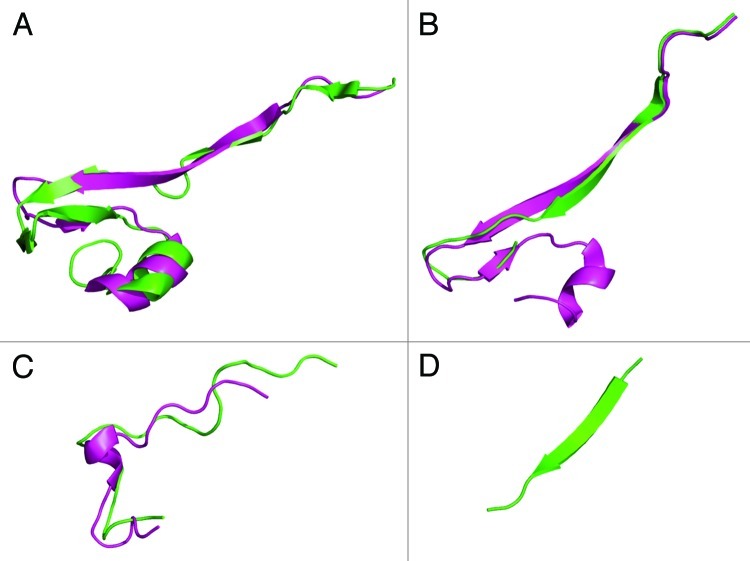 3D structure analysis of PAKs: A clue to the rational design for affinity reagents and blockers.