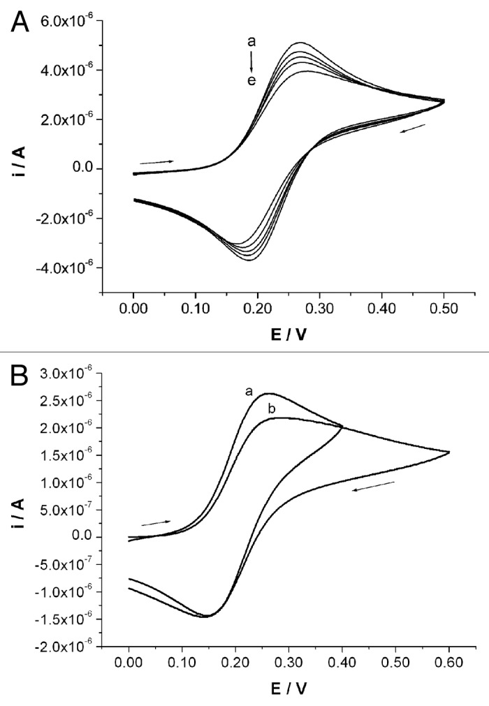 Peptide nucleic acids tagged with four lysine residues for amperometric genosensors.