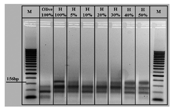 Selective recognition of DNA from olive leaves and olive oil by PNA and modified-PNA microarrays.