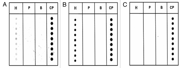 Selective recognition of DNA from olive leaves and olive oil by PNA and modified-PNA microarrays.