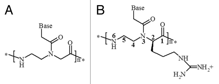 Selective recognition of DNA from olive leaves and olive oil by PNA and modified-PNA microarrays.