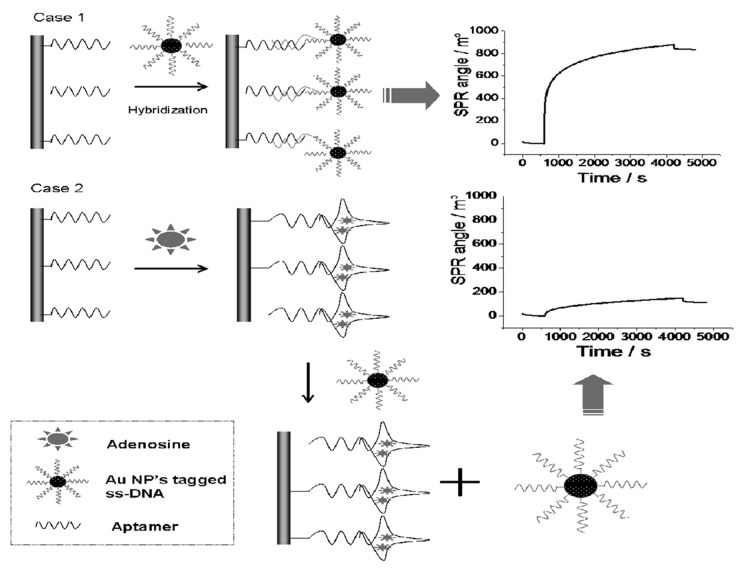 Artificial DNA and surface plasmon resonance.