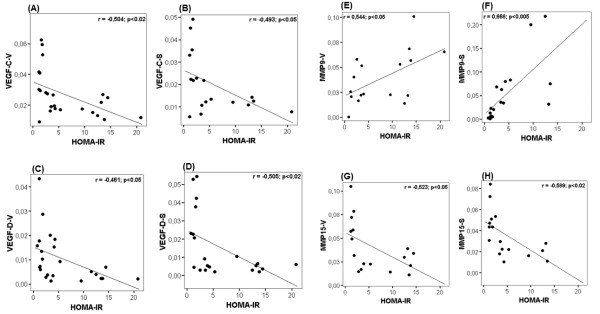 Obesity-associated insulin resistance is correlated to adipose tissue vascular endothelial growth factors and metalloproteinase levels.