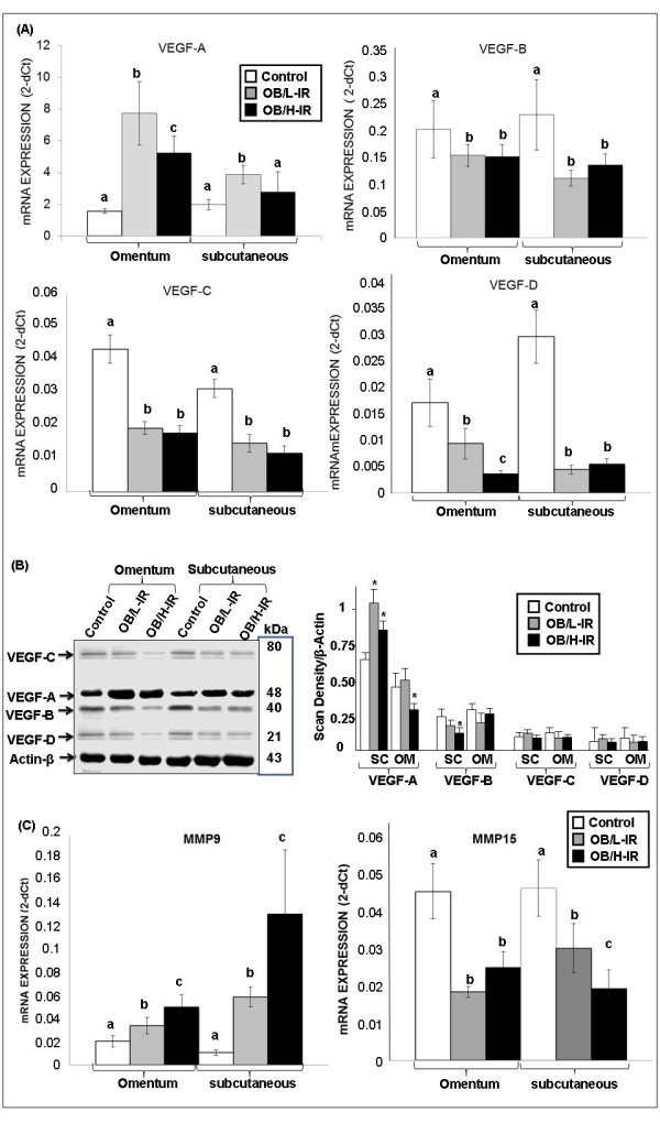 Obesity-associated insulin resistance is correlated to adipose tissue vascular endothelial growth factors and metalloproteinase levels.