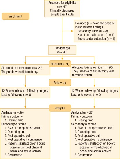 Comparison of a fistulectomy and a fistulotomy with marsupialization in the management of a simple anal fistula: a randomized, controlled pilot trial.