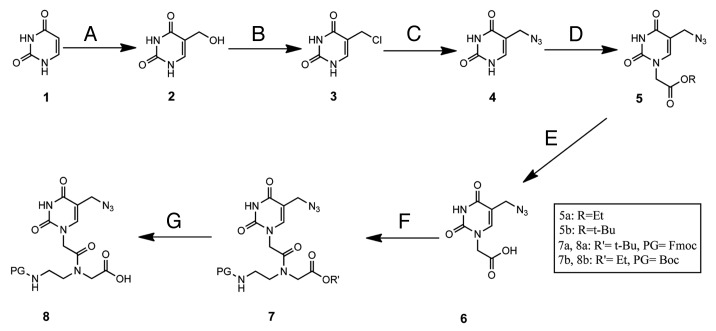 PNA bearing 5-azidomethyluracil: a novel approach for solid and solution phase modification.