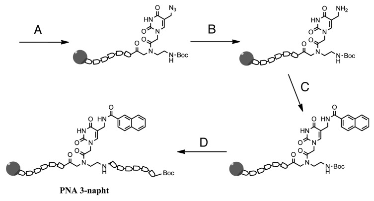 PNA bearing 5-azidomethyluracil: a novel approach for solid and solution phase modification.