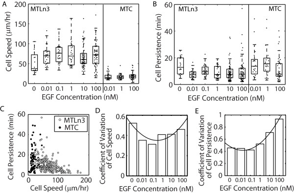 Differences in adhesion and protrusion properties correlate with differences in migration speed under EGF stimulation.