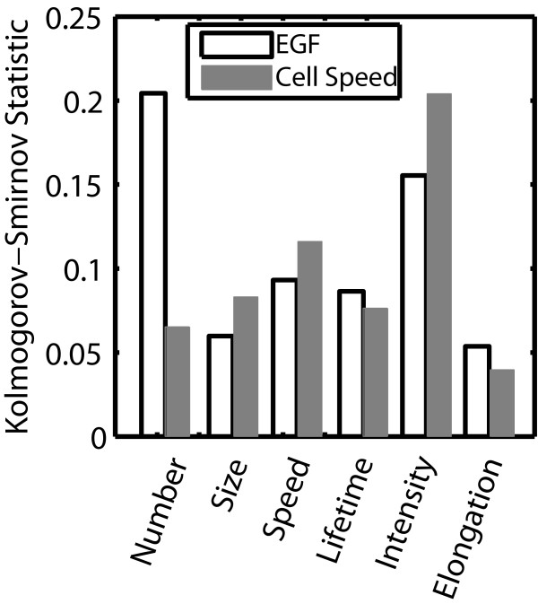 Differences in adhesion and protrusion properties correlate with differences in migration speed under EGF stimulation.