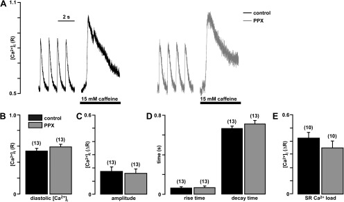 Inorganic polyphosphate is a potent activator of the mitochondrial permeability transition pore in cardiac myocytes.