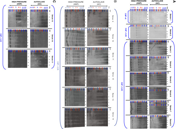 Effects of autoclaving and high pressure on allergenicity of hazelnut proteins.