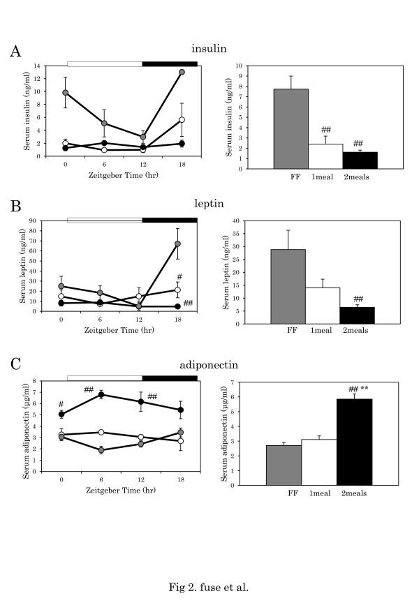 Differential roles of breakfast only (one meal per day) and a bigger breakfast with a small dinner (two meals per day) in mice fed a high-fat diet with regard to induced obesity and lipid metabolism.