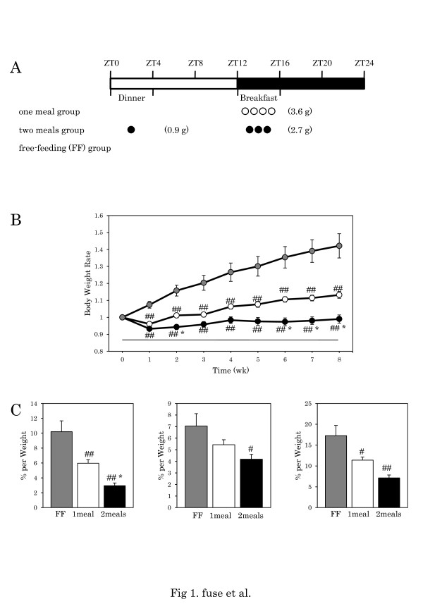 Differential roles of breakfast only (one meal per day) and a bigger breakfast with a small dinner (two meals per day) in mice fed a high-fat diet with regard to induced obesity and lipid metabolism.