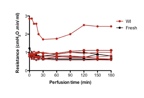 A simplified subnormothermic machine perfusion system restores ischemically damaged liver grafts in a rat model of orthotopic liver transplantation.