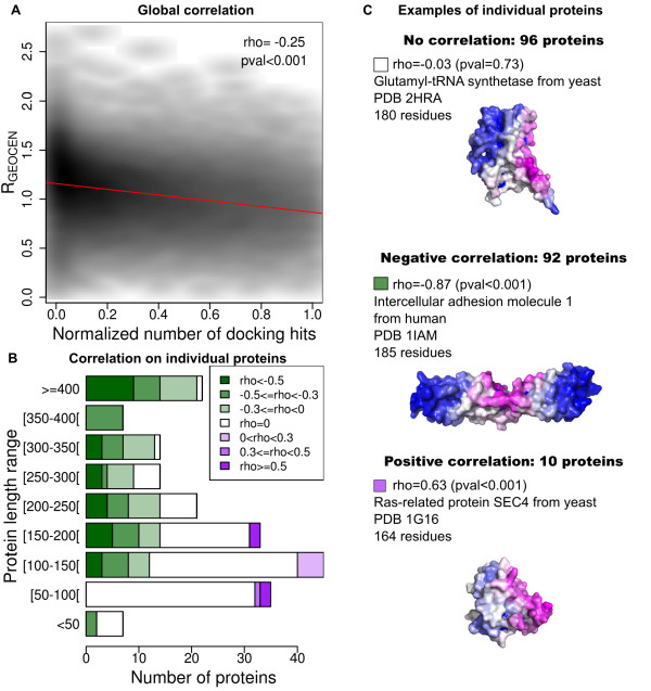 Arbitrary protein-protein docking targets biologically relevant interfaces.