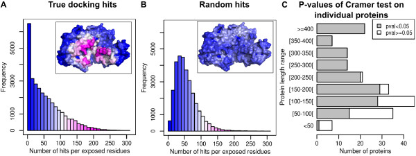 Arbitrary protein-protein docking targets biologically relevant interfaces.