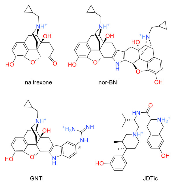 Long-acting κ opioid antagonists nor-BNI, GNTI and JDTic: pharmacokinetics in mice and lipophilicity.