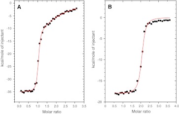 The TRPV5/6 calcium channels contain multiple calmodulin binding sites with differential binding properties.