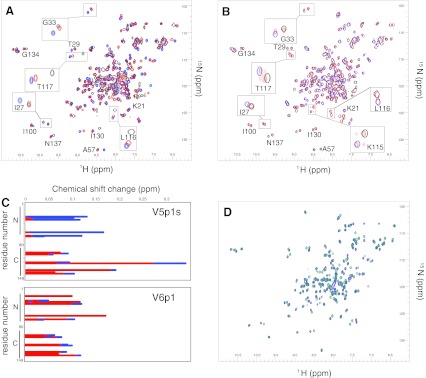 The TRPV5/6 calcium channels contain multiple calmodulin binding sites with differential binding properties.