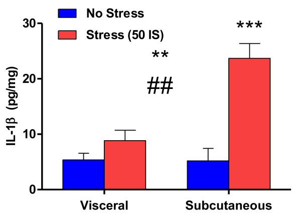 Interleukin-1 beta: a potential link between stress and the development of visceral obesity.