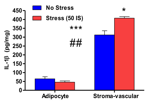 Interleukin-1 beta: a potential link between stress and the development of visceral obesity.