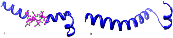 Structure based sequence analysis & epitope prediction of gp41 HIV1 envelope glycoprotein isolated in Pakistan.