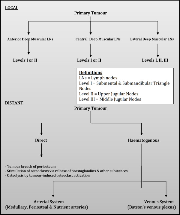 Spinal metastasis in head and neck cancer.