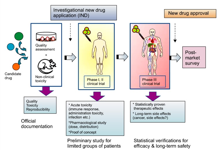 Regulatory issues in stem cell therapeutics in Korea: efficacy or efficiency?