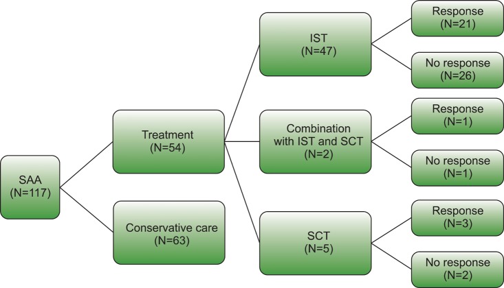 Should we still use Camitta's criteria for severe aplastic anemia?