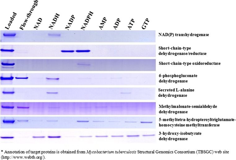 Enhancement of crystallization with nucleotide ligands identified by dye-ligand affinity chromatography.