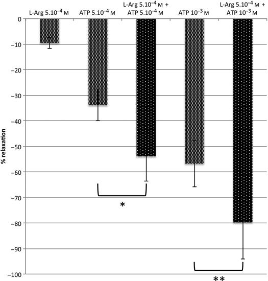 Effects of nucleotides adenosine monophosphate and adenosine triphosphate in combination with L-arginine on male rabbit corpus cavernosum tissue