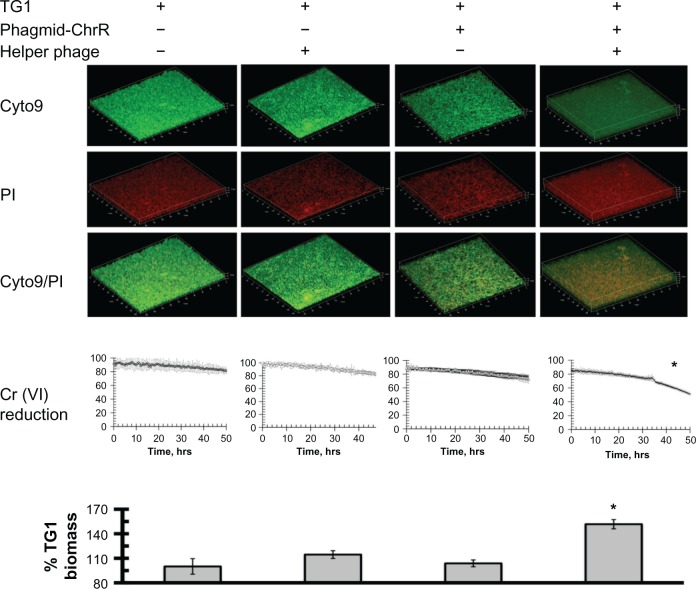 Dying for Good: Virus-Bacterium Biofilm Co-evolution Enhances Environmental Fitness.