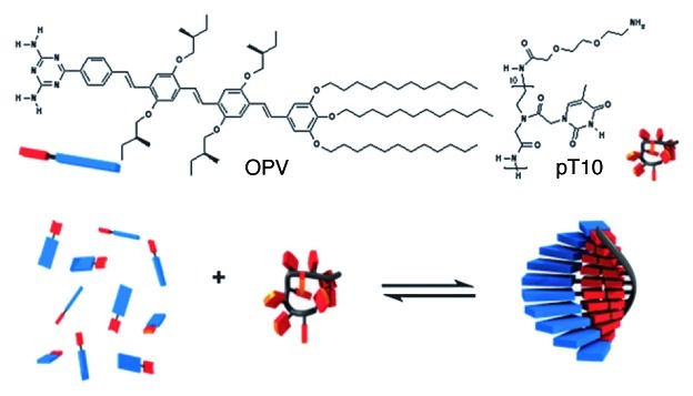 Peptide nucleic acids in materials science.