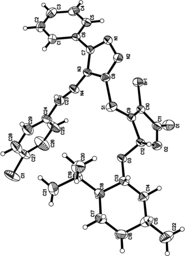 Synthesis and evaluation of antitumor activities of novel chiral 1,2,4-triazole Schiff bases bearing γ-butenolide moiety.