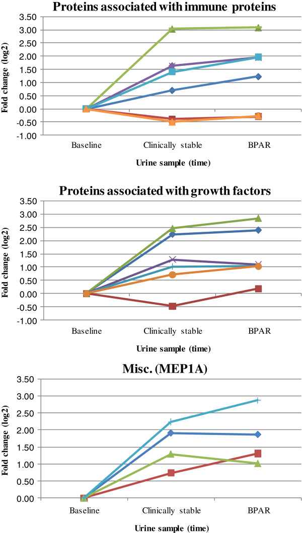 Urinary proteomic shotgun approach for identification of potential acute rejection biomarkers in renal transplant recipients.