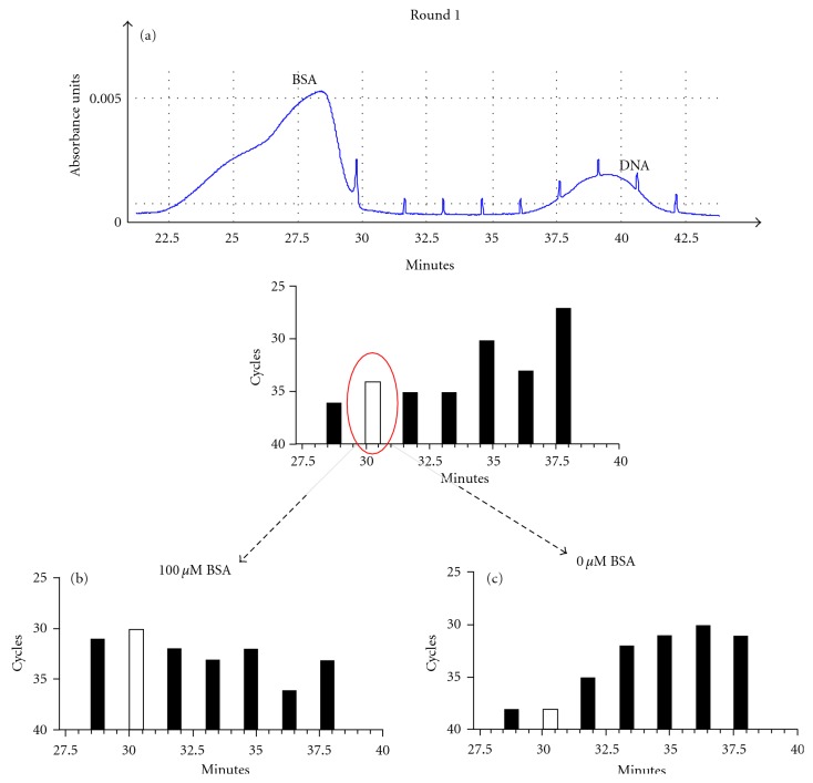 Real-Time PCR-Coupled CE-SELEX for DNA Aptamer Selection.