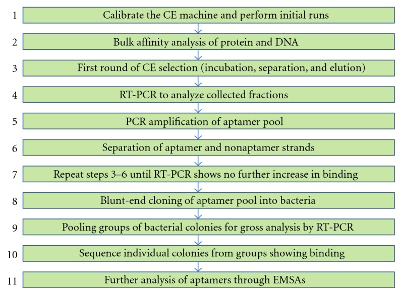 Real-Time PCR-Coupled CE-SELEX for DNA Aptamer Selection.