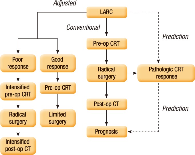 An update on preoperative radiotherapy for locally advanced rectal cancer.