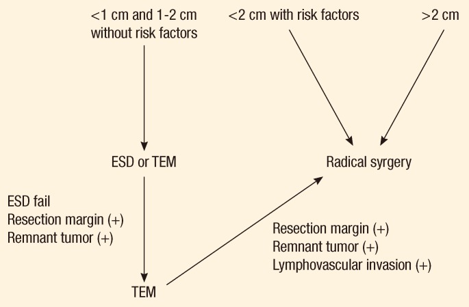 Transanal endoscopic microsurgery for the treatment of well-differentiated rectal neuroendocrine tumors.