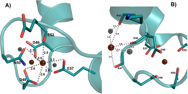 Flexibility of EF-hand motifs: structural and thermodynamic studies of Calcium Binding Protein-1 from Entamoeba histolytica with Pb2+, Ba2+, and Sr2+.