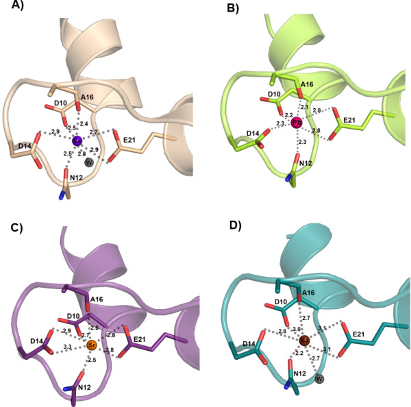 Flexibility of EF-hand motifs: structural and thermodynamic studies of Calcium Binding Protein-1 from Entamoeba histolytica with Pb2+, Ba2+, and Sr2+.