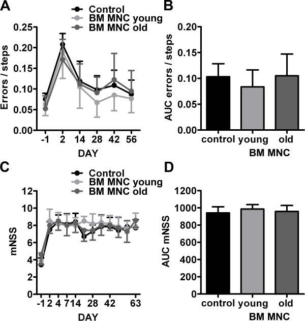 Impact of age on the efficacy of bone marrow mononuclear cell transplantation in experimental stroke.