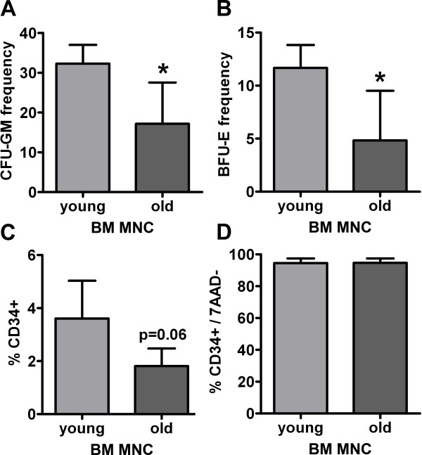 Impact of age on the efficacy of bone marrow mononuclear cell transplantation in experimental stroke.