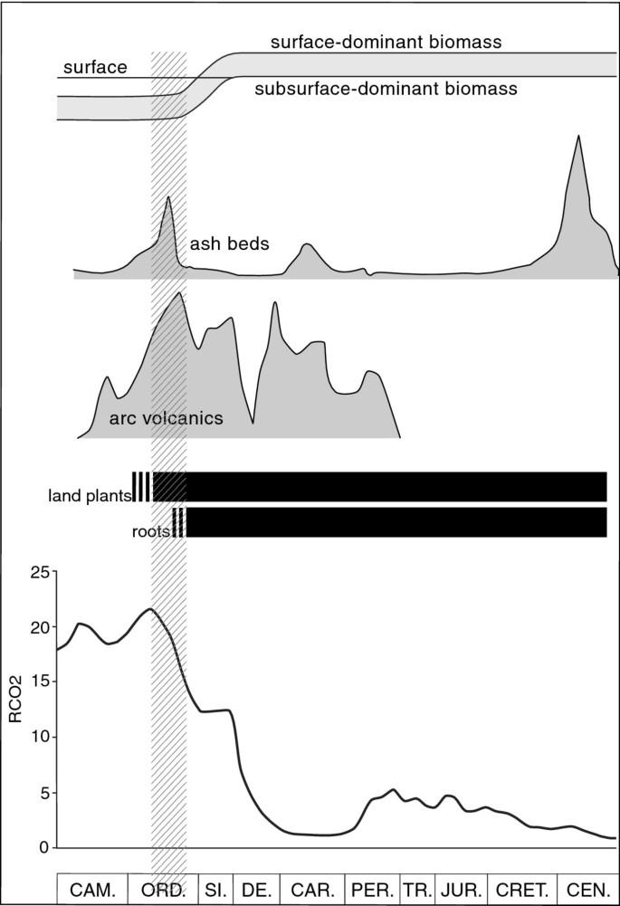 Ordovician ash geochemistry and the establishment of land plants