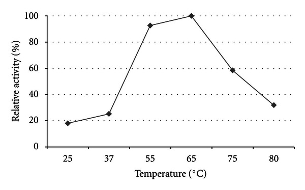 Thermostable and Alkalistable Xylanases Produced by the Thermophilic Bacterium Anoxybacillus flavithermus TWXYL3.