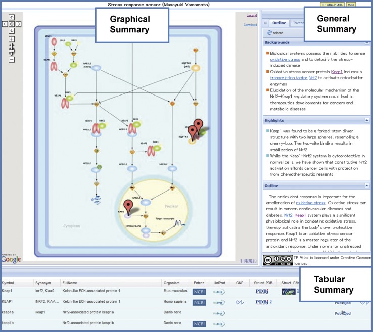 TP Atlas: integration and dissemination of advances in Targeted Proteins Research Program (TPRP)-structural biology project phase II in Japan.